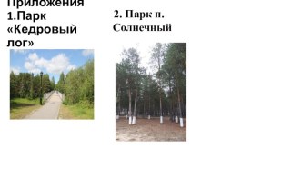 Почему в парке не хотят жить белки (фотографии) проект (1 класс)