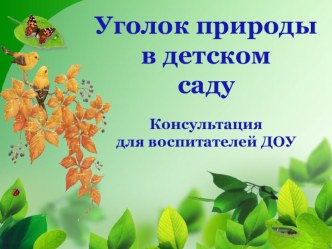 Консультация для воспитателей Уголок природы в детском саду методическая разработка