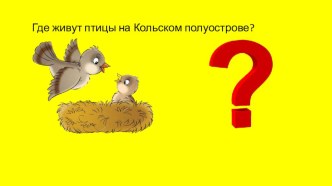 Презентация Птицы Кольского полуострова презентация к уроку (подготовительная группа)