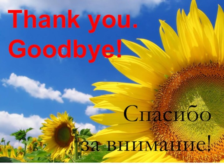 Thank you.  Goodbye! Спасибо  за внимание!