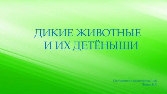 Презентация ДИКИЕ ЖИВОТНЫЕ И ИХ ДЕТЁНЫШИ презентация к уроку по окружающему миру (младшая группа)