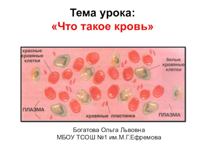 Тема урока:  «Что такое кровь» Богатова Ольга ЛьвовнаМБОУ ТСОШ №1 им.М.Г.Ефремова