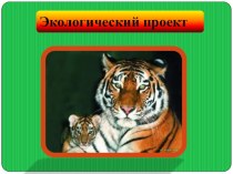 Экологический проект Животные Дальнего Востока занесенные в Красную книгу проект (старшая группа)