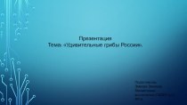 Презентация Удивительные грибы России презентация к уроку по окружающему миру (подготовительная группа)