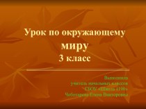 Окружающий мир 3 класс Размножение и развитие растений презентация к уроку по окружающему миру (3 класс)