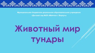 Презентация Животный мир тундры презентация