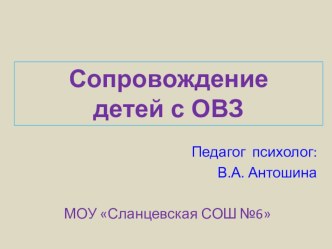 Сопровождение детей с ОВЗ и детей-инвалидов