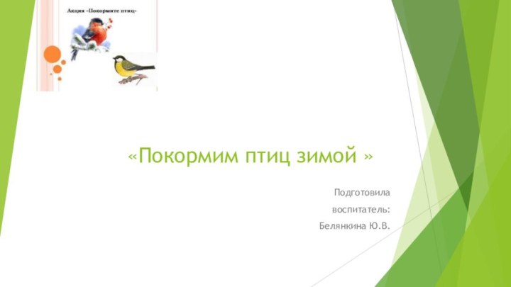 «Покормим птиц зимой »Подготовила воспитатель:Белянкина Ю.В.