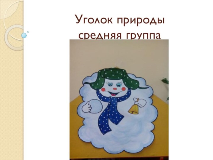 Уголок природы средняя группа