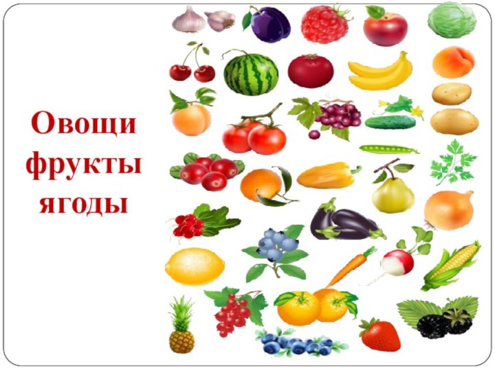 Овощи фрукты ягоды