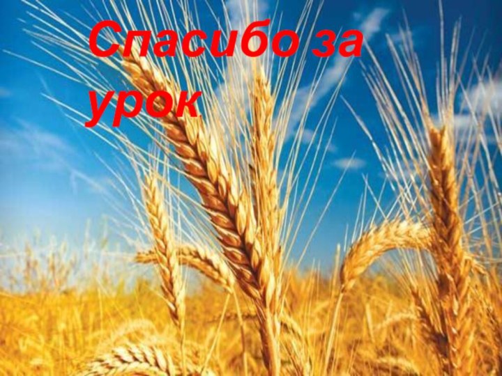 Спасибо за урок.