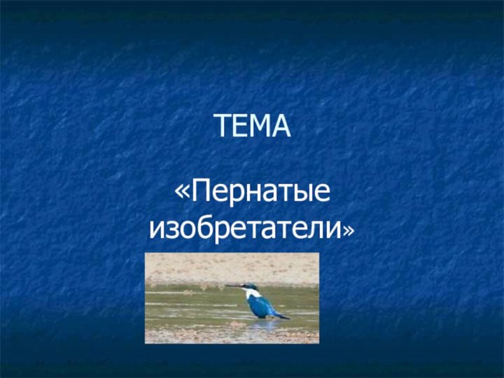 ТЕМА «Пернатые изобретатели»