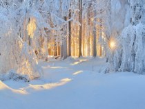 КОМПЛЕКСНОЕ ЗАНЯТИЕ Зимняя сказка план-конспект занятия по окружающему миру (старшая группа)