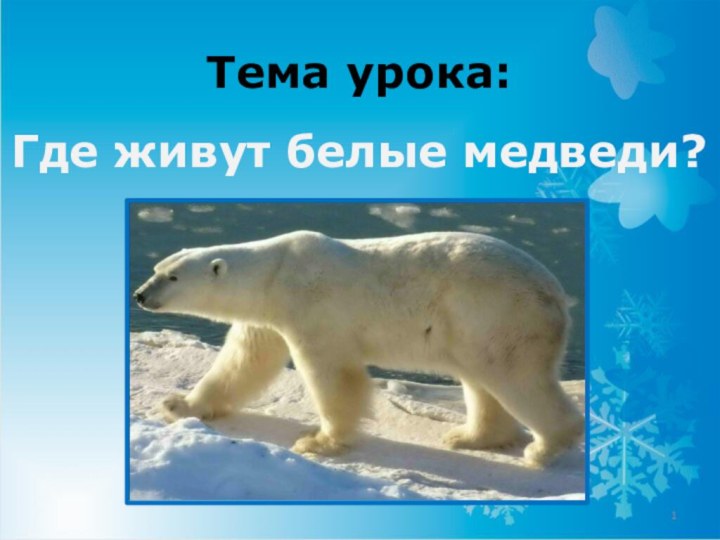 Тема урока: Где живут белые медведи?