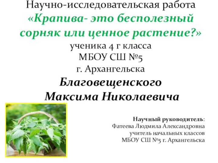 Научно-исследовательская работа «Крапива- это бесполезный сорняк или ценное растение?» ученика 4 г