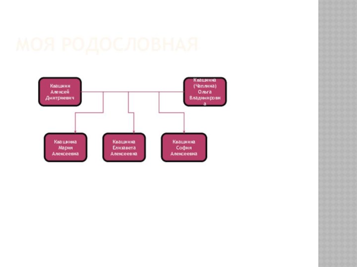 Моя родословнаяКвашнин Алексей ДмитриевичКвашнина (Чаплина) Ольга ВладимировнаКвашнина София АлексеевнаКвашнина Мария АлексеевнаКвашнина Елизавета Алексеевна