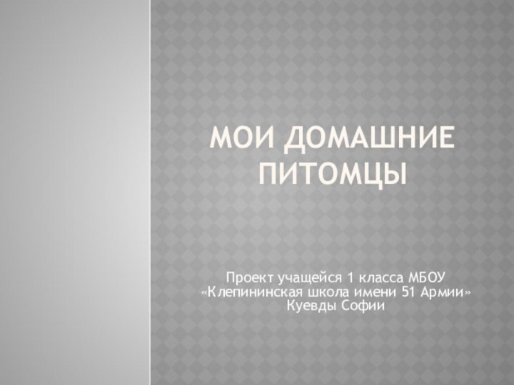 Мои домашние питомцыПроект учащейся 1 класса МБОУ «Клепининская школа имени 51 Армии» Куевды Софии