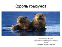 Обитатели воронежского государственного заповедника-бобры. презентация к уроку по окружающему миру (старшая группа)