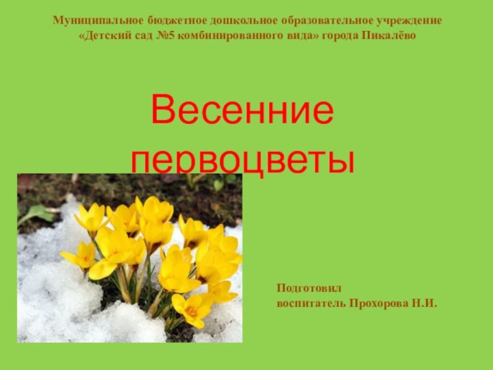 Весенние первоцветыМуниципальное бюджетное дошкольное образовательное учреждение«Детский сад №5 комбинированного вида» города ПикалёвоПодготовилвоспитатель Прохорова Н.И.