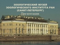 Презентация Зоологический музей презентация к уроку (старшая группа)