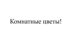 Комнатные цветы презентация по окружающему миру