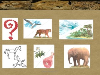 zhivotnye zharkih i holodnyh stran