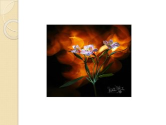 Слово доброе излечит, слово злое покалечит. план-конспект занятия (1 класс) по теме