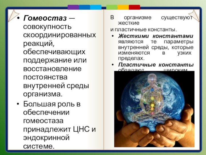 Гомеостаз — совокупность скоординированных реакций, обеспечивающих поддержание или восстановление постоянства внутренней среды