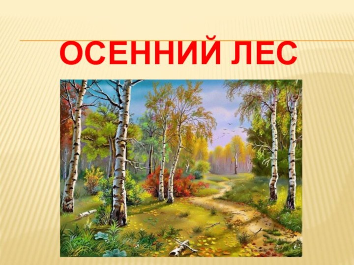 Осенний лес