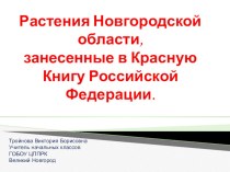 Растения Новгородской области, занесенные в Красную книгу. презентация к уроку по окружающему миру (1, 2, 3, 4 класс)