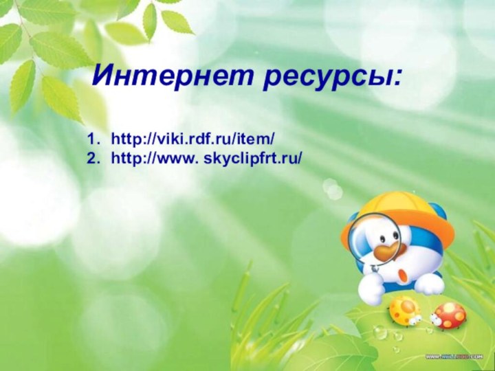 Интернет ресурсы:http://viki.rdf.ru/item/ http://www. skyclipfrt.ru/