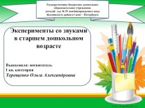 Презентация по теме Экспериментирование со звуком презентация к занятию (старшая группа)