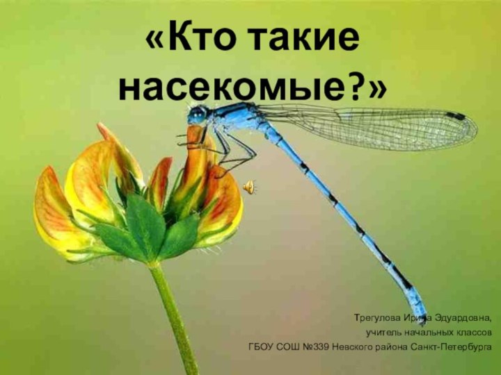 «Кто такие насекомые?» Трегулова Ирина Эдуардовна, учитель начальных классов ГБОУ СОШ №339 Невского района Санкт-Петербурга