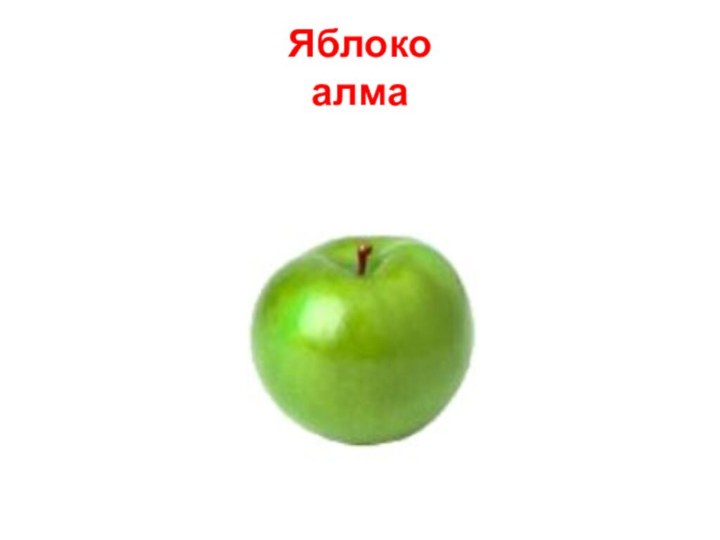 Яблоко алма