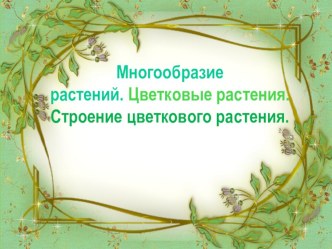 Презентация Многообразие раститений презентация урока для интерактивной доски по окружающему миру