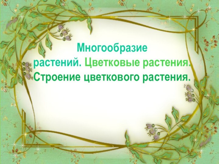 Многообразие растений. Цветковые растения. Строение цветкового растения.