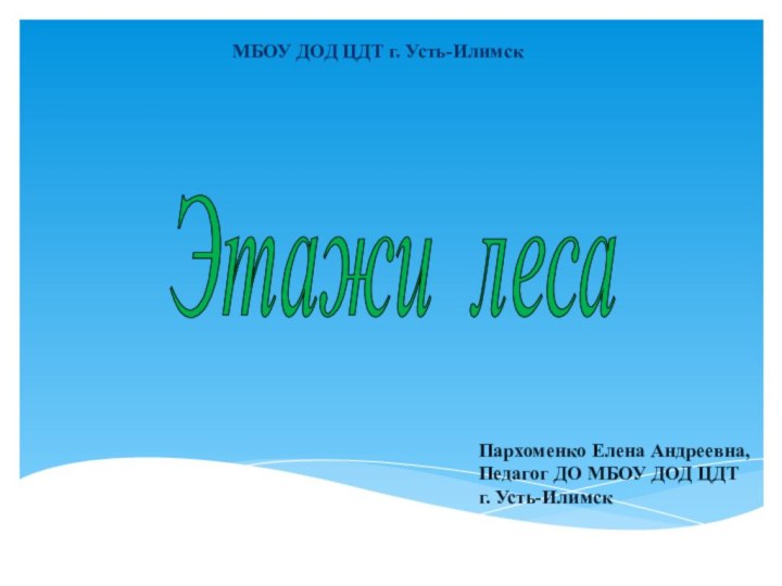Пархоменко Елена Андреевна,Педагог ДО МБОУ ДОД ЦДТ г. Усть-ИлимскЭтажи леса МБОУ ДОД ЦДТ г. Усть-Илимск