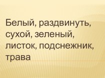 Урок русского языка(4 класс) методическая разработка по русскому языку (4 класс)