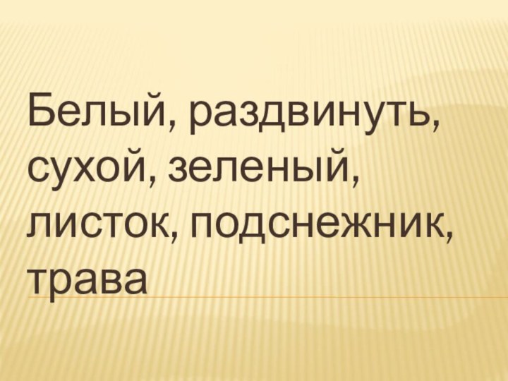 Белый, раздвинуть, сухой, зеленый, листок, подснежник, трава