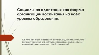 Социальная адаптация как форма организации воспитания на всех уровнях образования рабочая программа