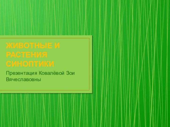 ЖИВОТНЫЕ И РАСТЕНИЯ СИНОПТИКИПрезентация Ковалёвой Зои Вячеславовны