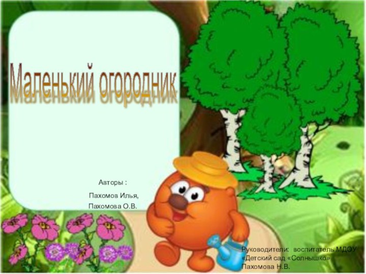 Маленький огородник Руководители: воспитатель МДОУ «Детский сад «Солнышко» Пахомова Н.В.Авторы : Пахомов