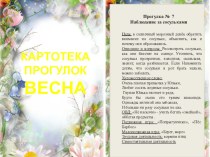 Картотека прогулок. Весна. картотека (средняя группа)