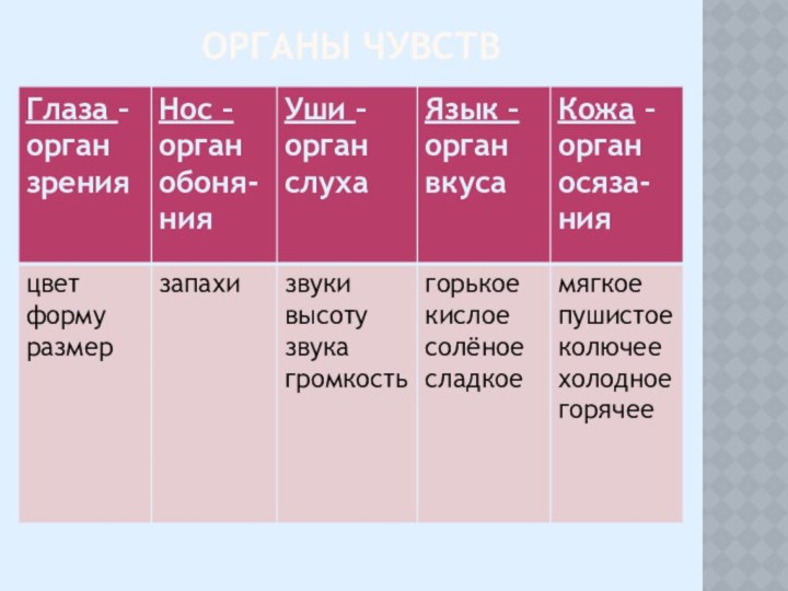 Органы чувств