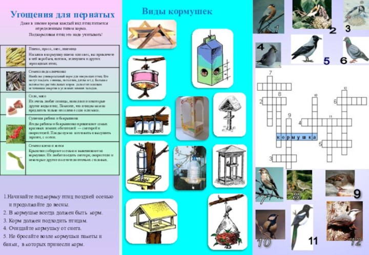 1 2 3 4 7 8 9 10 12 5 Правила ухода за кормушкой:11 6