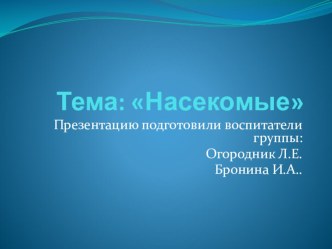 Презентация Насекомые презентация к уроку по окружающему миру (средняя группа)