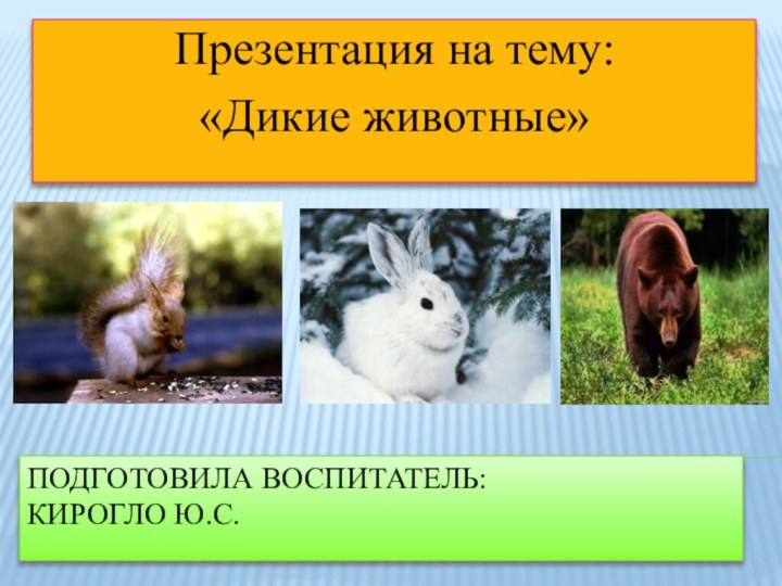 Подготовила воспитатель: Кирогло ю.с.Презентация на тему:«Дикие животные»