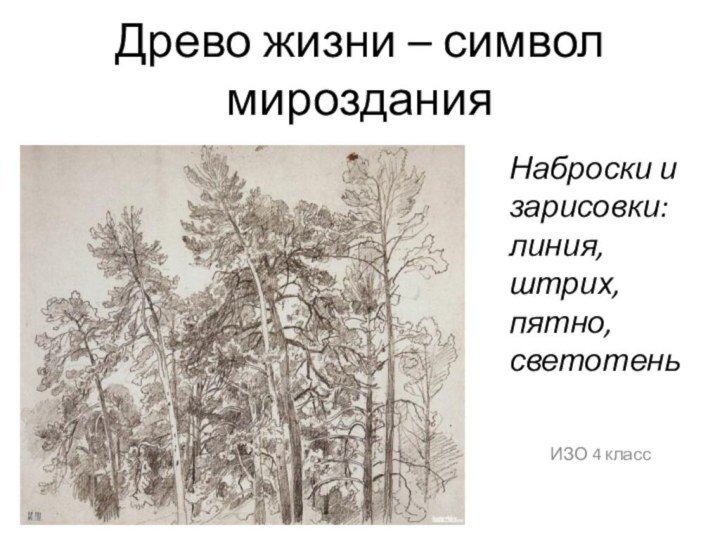 Древо жизни – символ мирозданияИЗО 4 классНаброски и зарисовки: линия, штрих, пятно, светотень