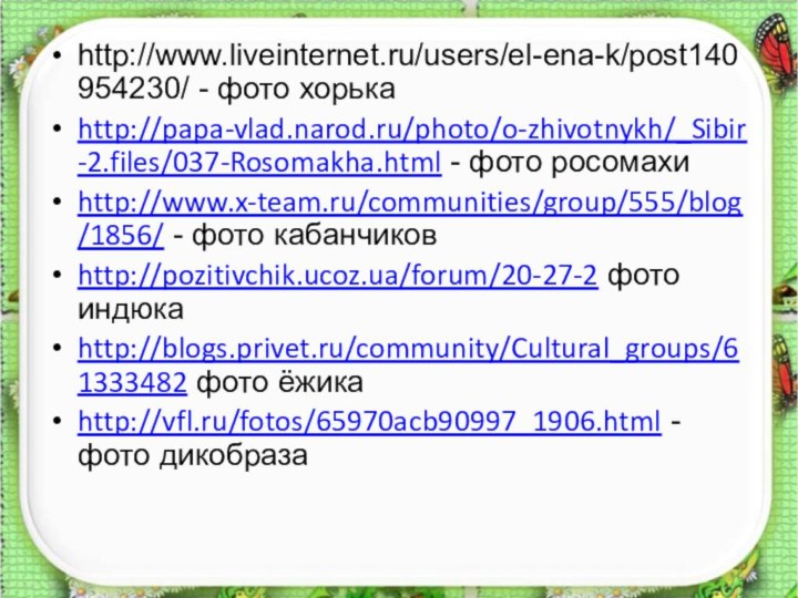 http://www.liveinternet.ru/users/el-ena-k/post140954230/ - фото хорькаhttp://papa-vlad.narod.ru/photo/o-zhivotnykh/_Sibir-2.files/037-Rosomakha.html - фото росомахиhttp://www.x-team.ru/communities/group/555/blog/1856/ - фото кабанчиковhttp://pozitivchik.ucoz.ua/forum/20-27-2 фото индюкаhttp://blogs.privet.ru/community/Cultural_groups/61333482