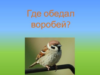 Презентация к занятию Путешествие в зоопарк презентация к занятию по окружающему миру (старшая группа)